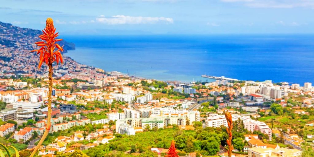 melhores restaurantes madeira